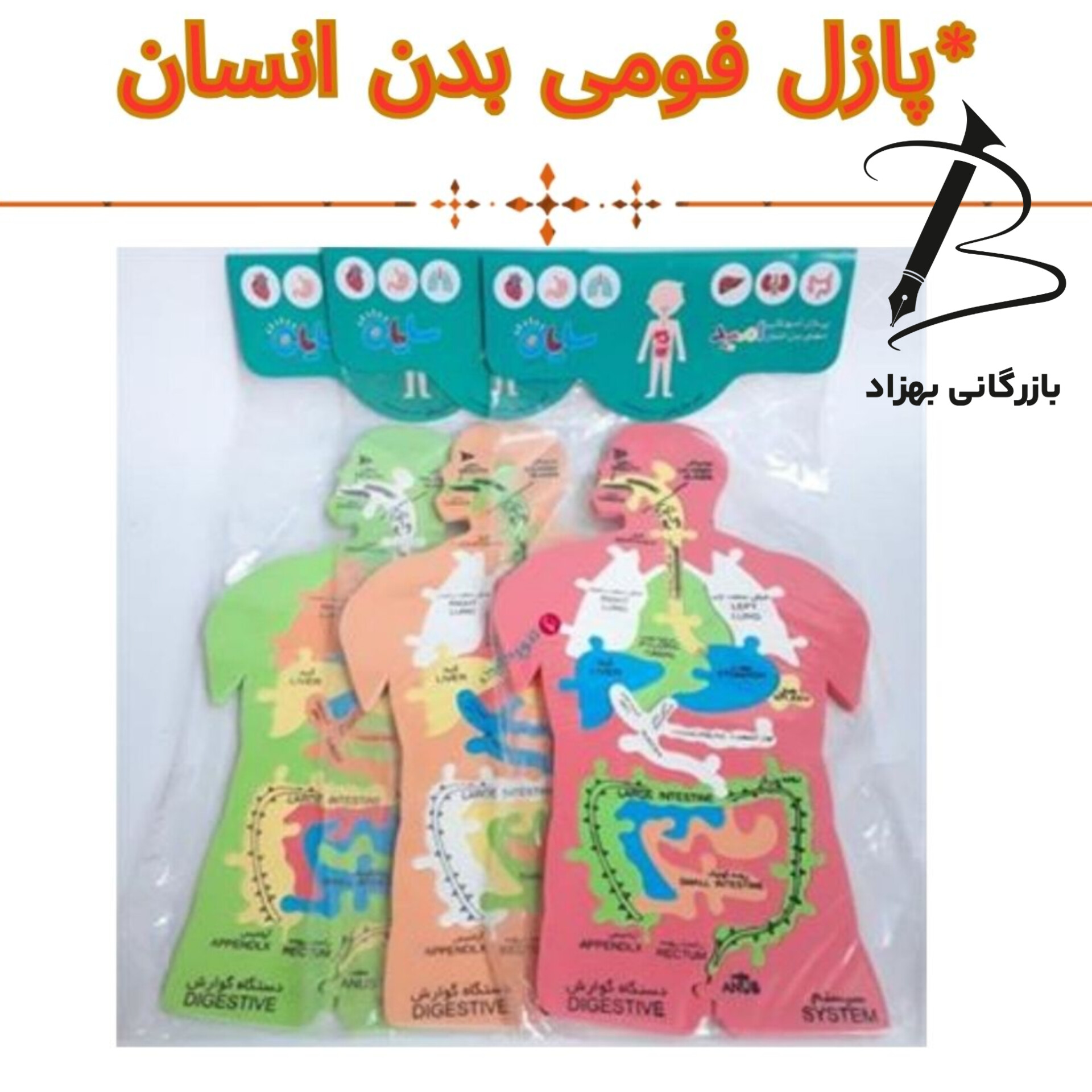 پازل بدن انسان از جنس فومی بسته نایلونی
